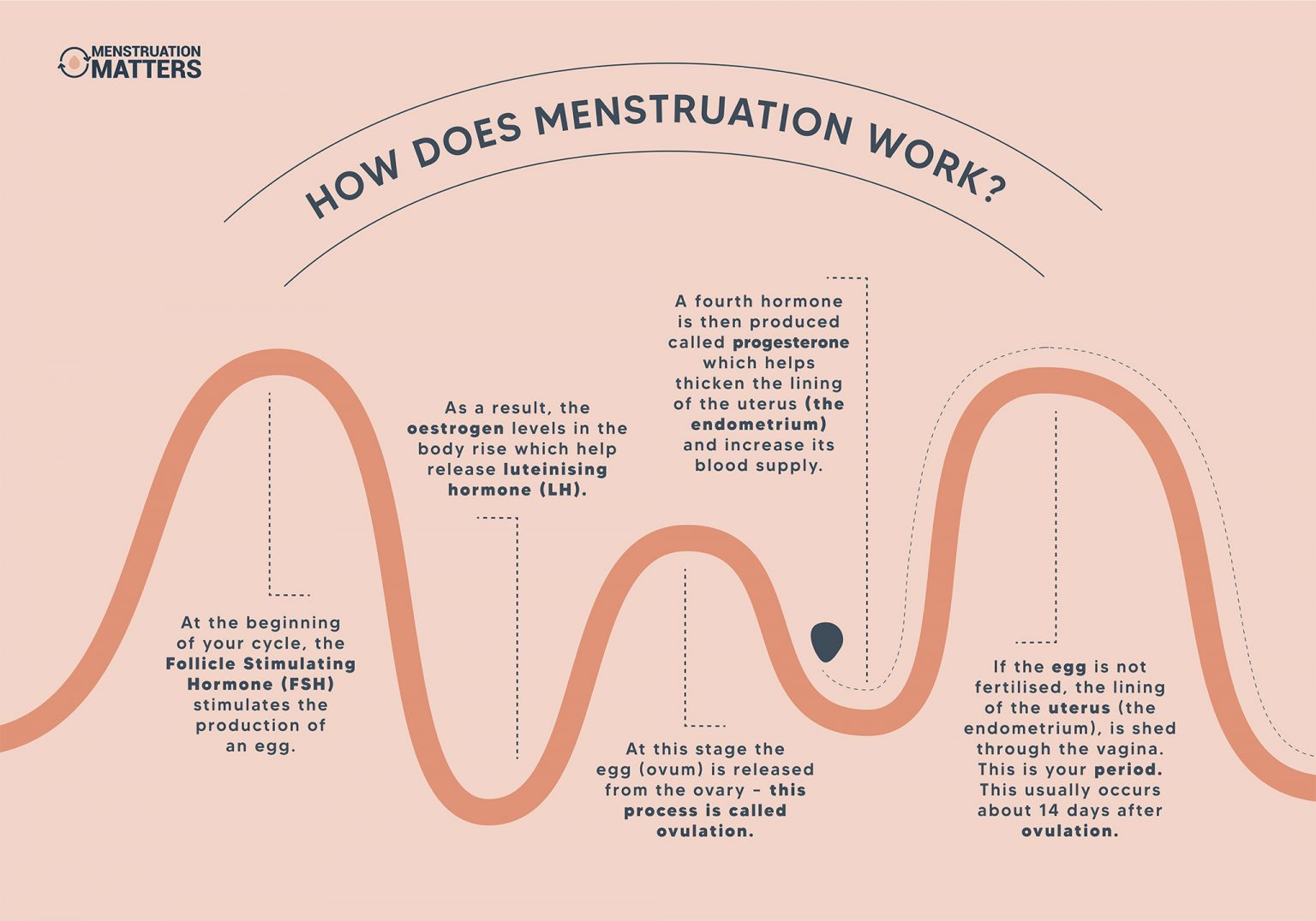 How Does Menstruation Work Menstruation Matters How Does Menstruation Work Menstruation Matters